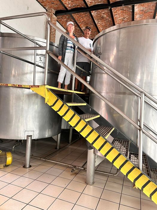 Visitors on the stairs of a distillery tank room