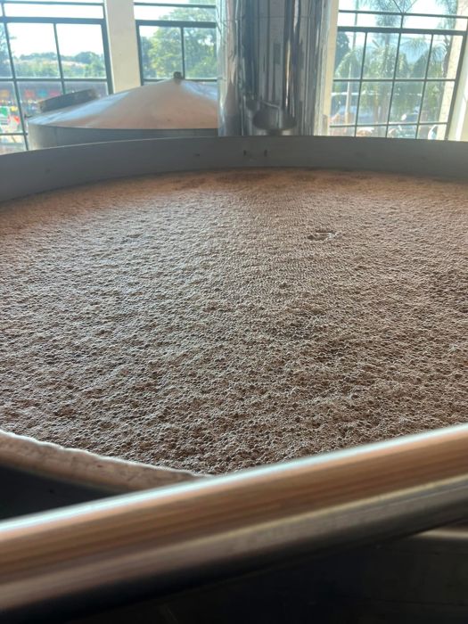 Agave fermenting in a large vat